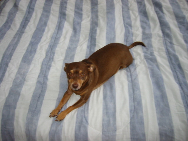 lyle on his bed