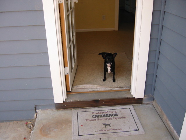 out the back door