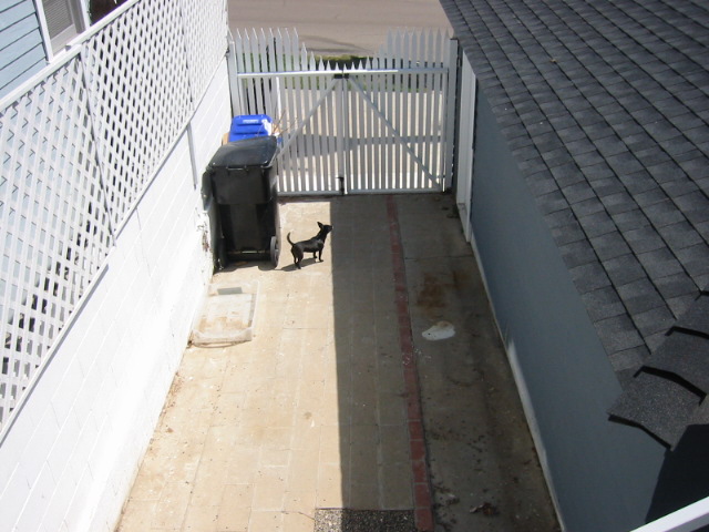 front yard (and garage)