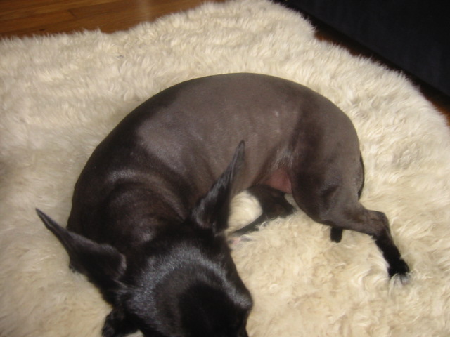 103-0308_IMG.JPG