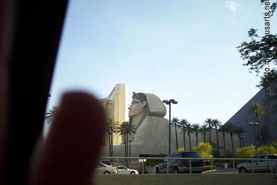 luxor sphinx, not the real one!