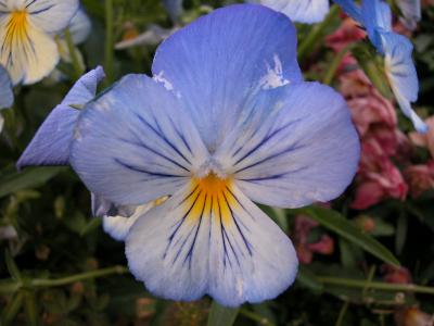 DSCN0043.JPG