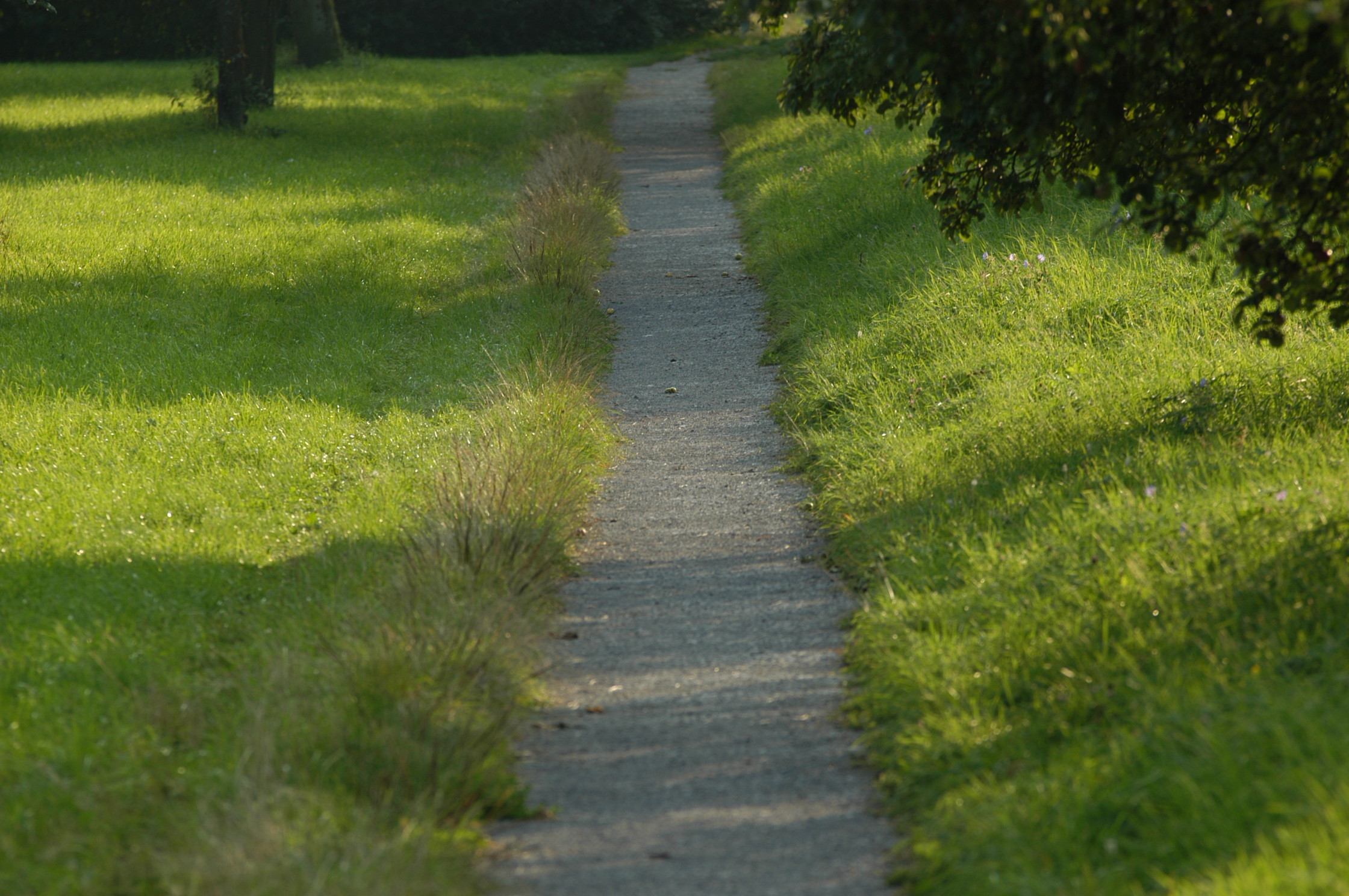 DSC_1594.JPG