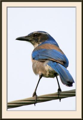 IMG_7697ps{Q}.jpg