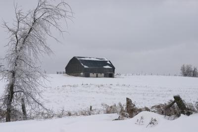 barn in ice storm