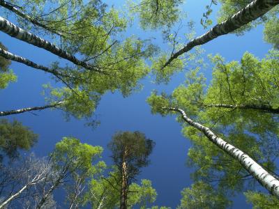 Yes, I'm a wide-angle freak