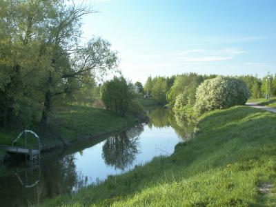Spring 2002