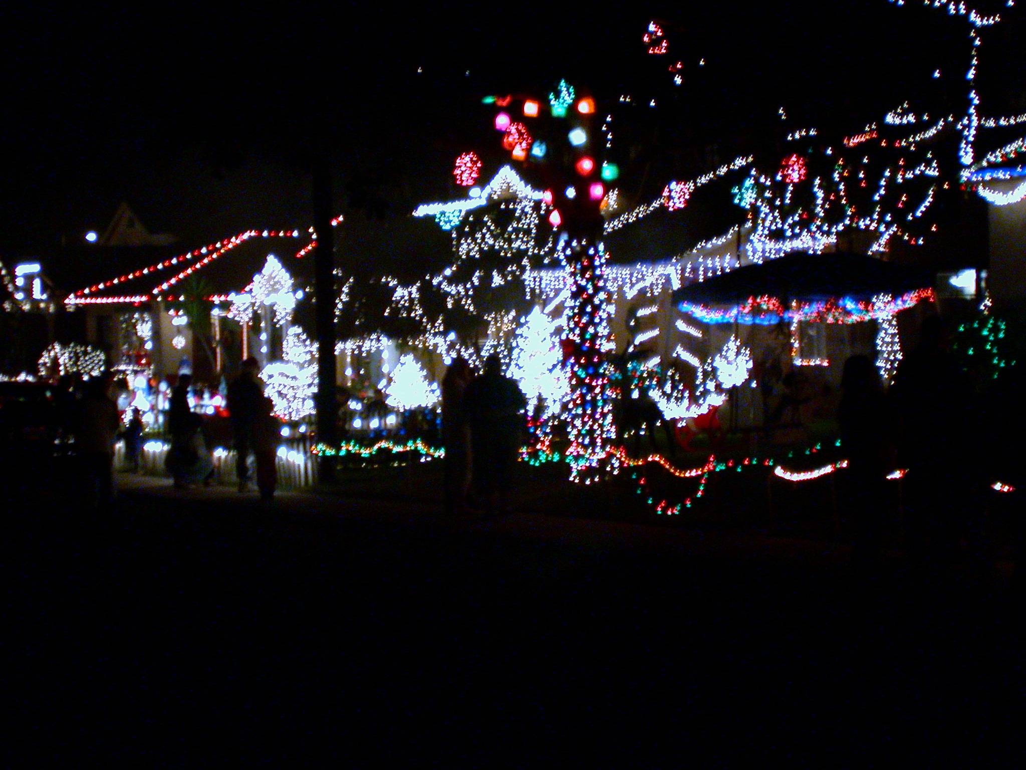 DSCN2582.JPG