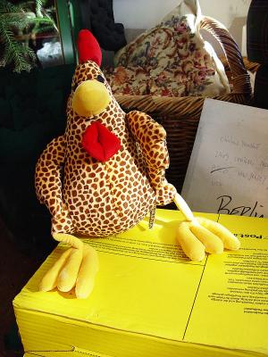 A handsome Rooster for Rosie was in the yellow box