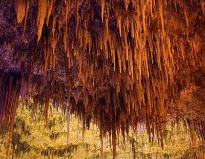 Carlsbad Caverns13