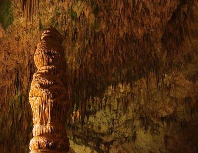 Carlsbad Caverns15