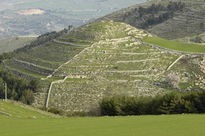 Mound with Terraces