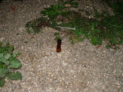 What a pissed moron eventually does with an unattended bottle of beer.