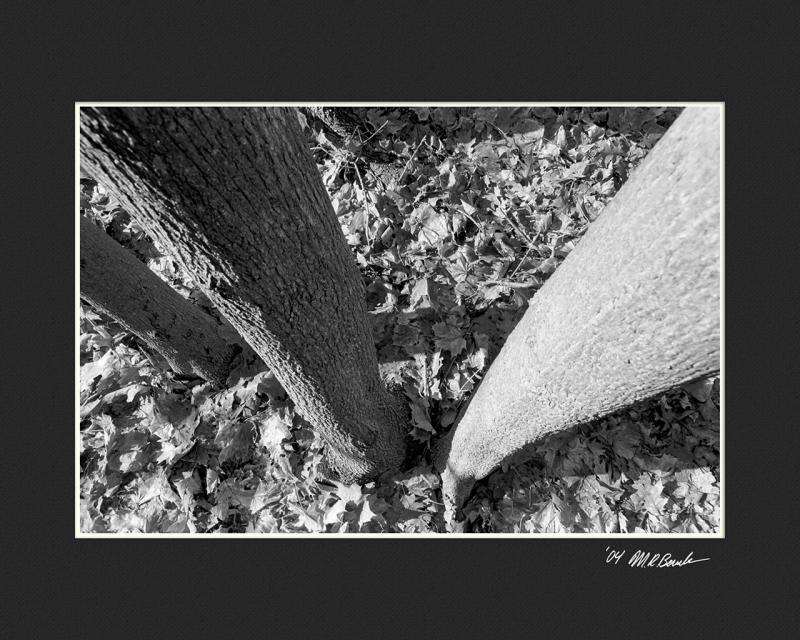 2004_12_09-HP5_Frame28.jpg