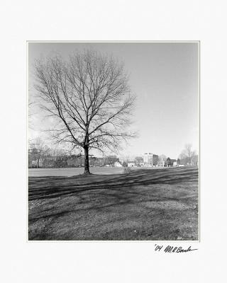 2004_12_09-HP5_Frame26.jpg