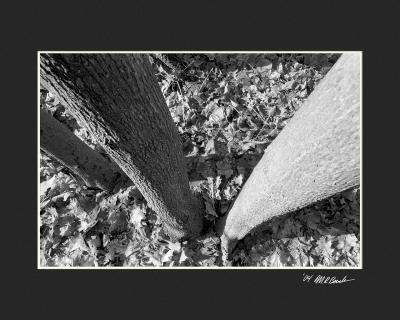 2004_12_09-HP5_Frame28.jpg