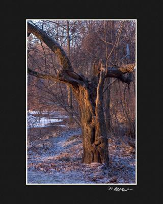 DSC_4582.jpg