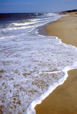 The Surf
