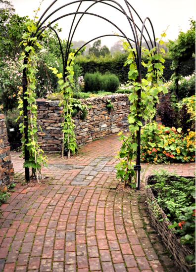 Rosemoor Gdns02-j.jpg