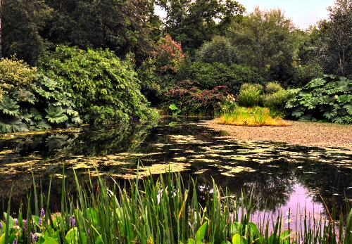 Rosemoor Gdns01-j.jpg
