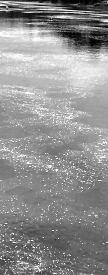 bideford1-j.jpg