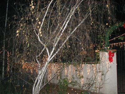 The front courtyard wall