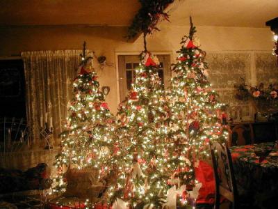 Our three Christmas trees a few years ago
