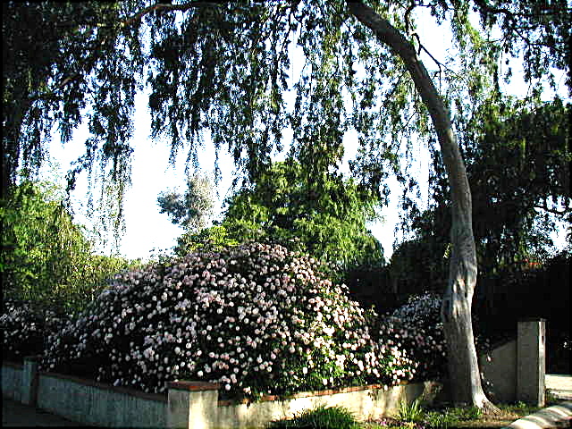View from the street