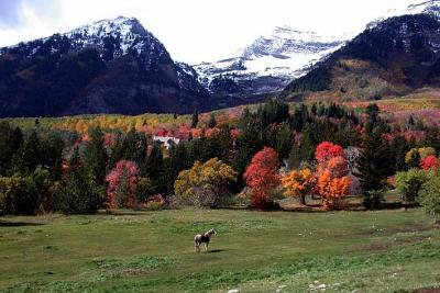 Pasture near the Sundance Resort