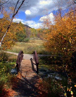 Stream in Wasatch Range