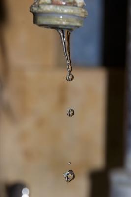 CRW_1202.jpg