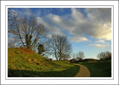 Footpath ~ Ham Hill, Somerset