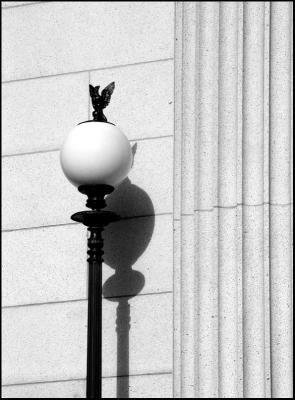 Light and shadow by Pat Hemlepp