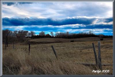 'a lil black, blue and brown ... '
