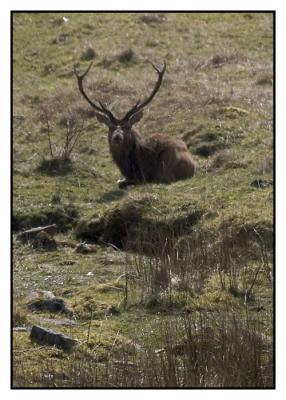 scotland_easter_05