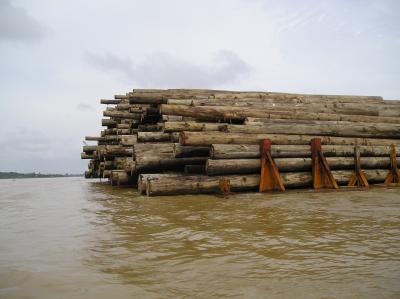 lumber on the jambi river