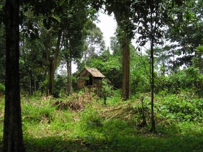 Local Hut