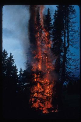 Lightning Hits Our Camp:  Rock Mountain, Pasayten Wilderness