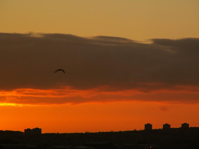 23rd December, crack of dawn