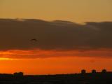 23rd December, crack of dawn