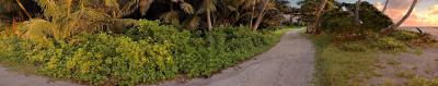 DSC_3184EveningRunFxSh2_33.jpg