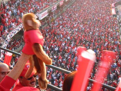 Reign of The Monkey