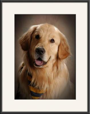 The Humane Society's Spring Open House