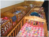 Cribs in Annas room