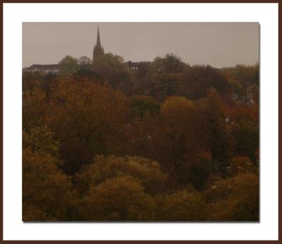 u10/paulandjane/medium/6695948.highgate_hill_trees.jpg