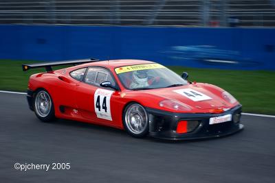 DSC_3677-44W.jpg
