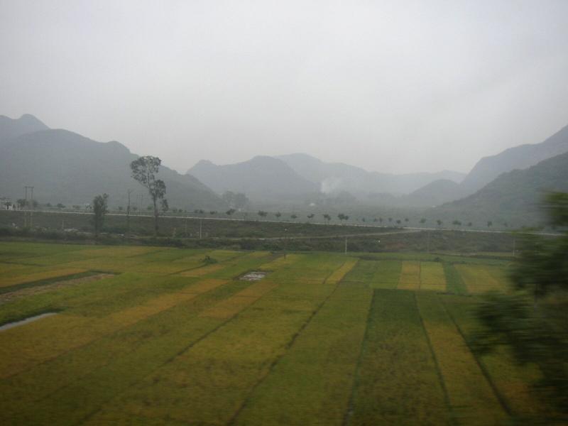 PA270174a.jpg
