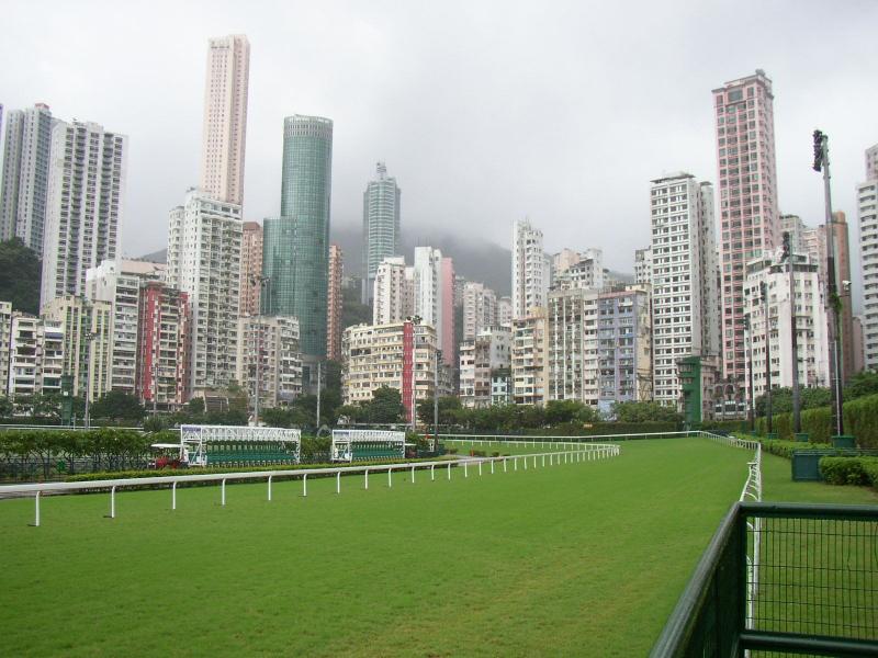 PA290068.jpg