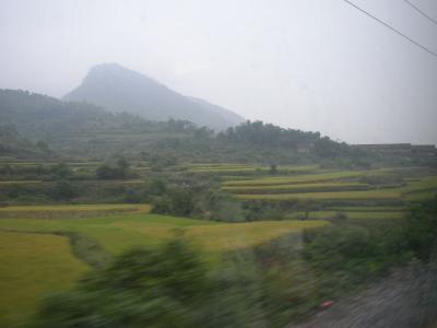 PA270162.jpg