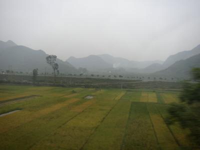 PA270174a.jpg